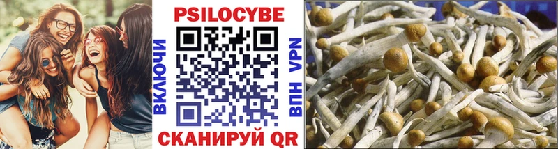 Псилоцибиновые грибы прущие грибы  Купить  Волчанск 
